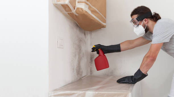 Professional Attic Mold Remediation technician working in Harrisburg, IL